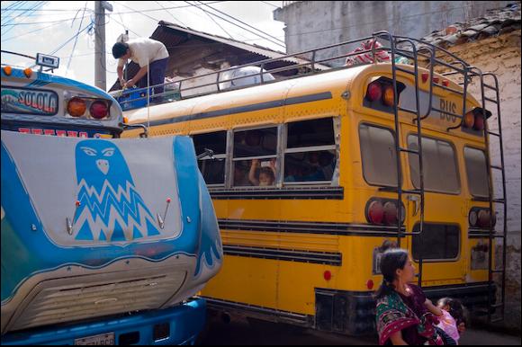 the buses are painted to indicate their route