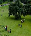 Prince's Park in Edinburgh