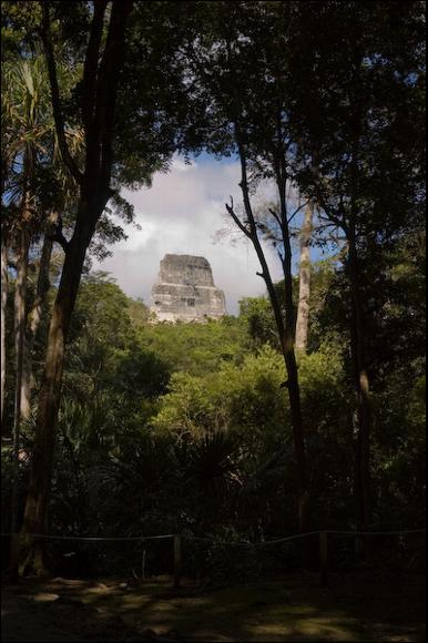 Temple IV through the canopy at Tikal