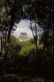 Temple IV through the canopy at Tikal