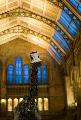 The Central Hall of the Natural History Museum - a diplodocus skeleton