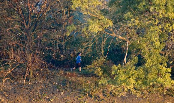 From the Thames gallery, this was taken in the early evening with a long lens from the other side...