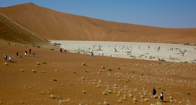 Deadvlei lake bed, the dead trees are around half a century old