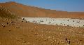 Deadvlei lake bed, the dead trees are around half a century old