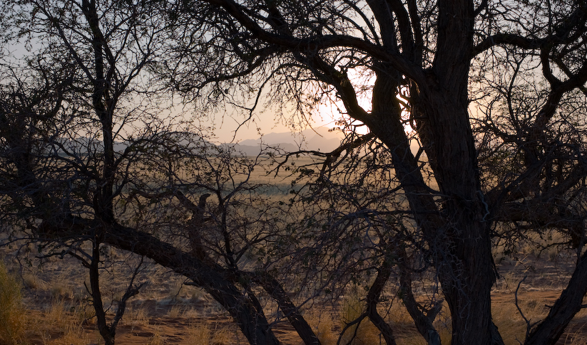 Elim Dune, Sesriem, Namibia, sunset