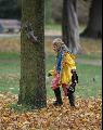 Squirrel plays hide and seek, Hackney 2004